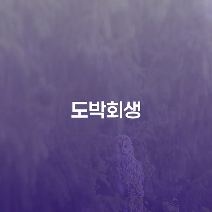 회생제도 채무조정제도을 이용하여 희망으로