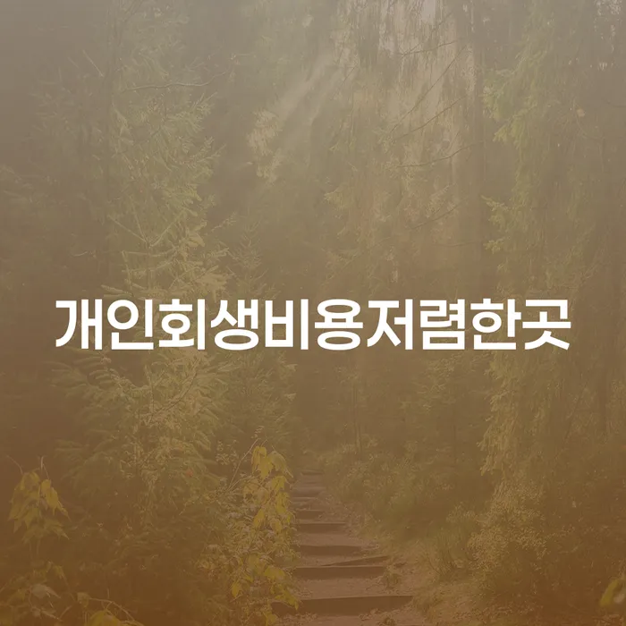 개인회생 뜻 개인회생으로 해결방법 계시다면