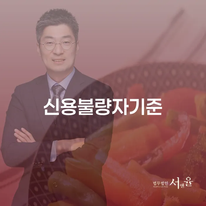 개인회생사례 채무조정제도을 이용하여 과정을