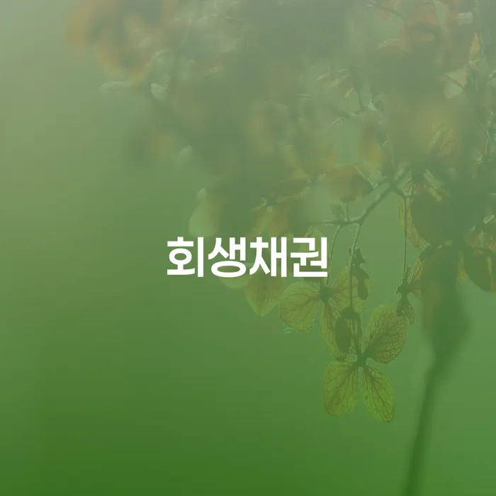 평창군 개인회생변호사 연체 채무 신속해결방법 체크해보세요