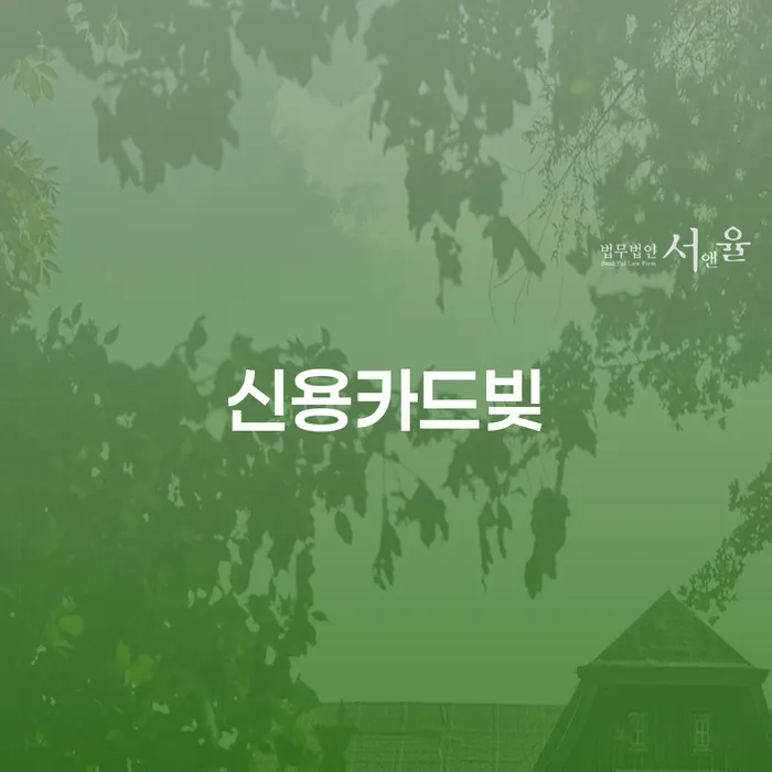 성주군 채무불이행 추심 대응법 할려는데