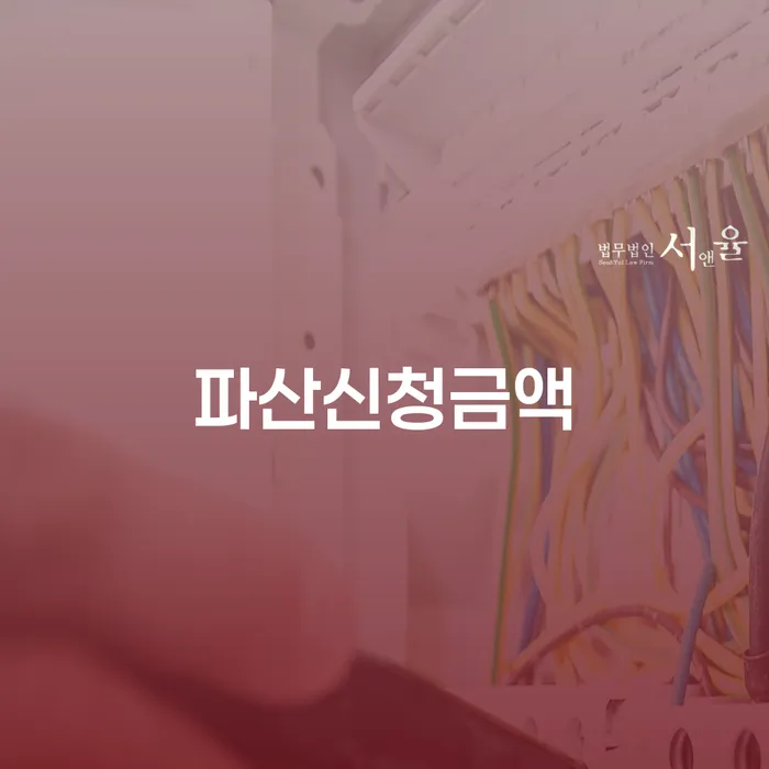 논산시 개인파산신청 빚 합법적인 빠른방법 잘 하는 사무소