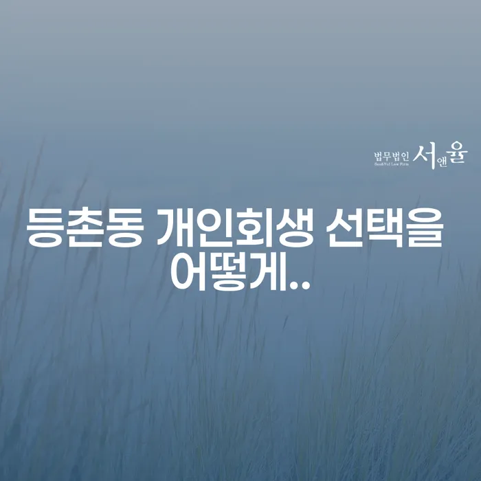 등촌동 개인회생 선택을 어떻게..