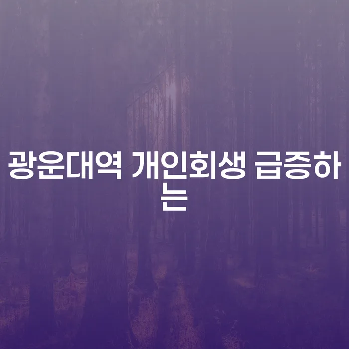 광운대역 개인회생 급증하는