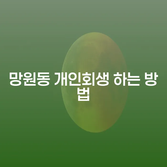 망원동에서 개인회생을 하는 방법은 무엇인가요?