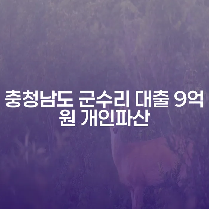 충청남도 군수리 대출 9억원 개인파산, 해결 방법은?