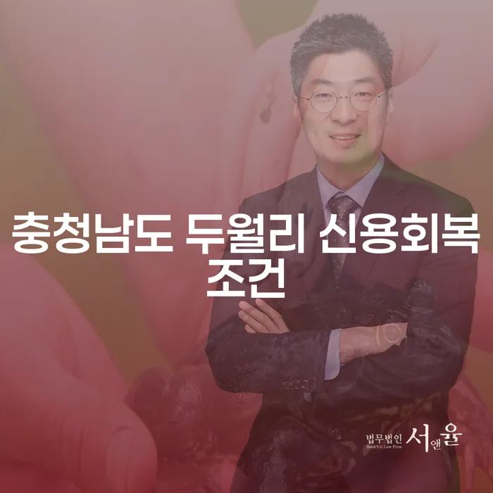 충청남도 두월리에서 신용 회복을 위한 개인회생 및 파산 신청, 어떻게 준비해야 할까요?