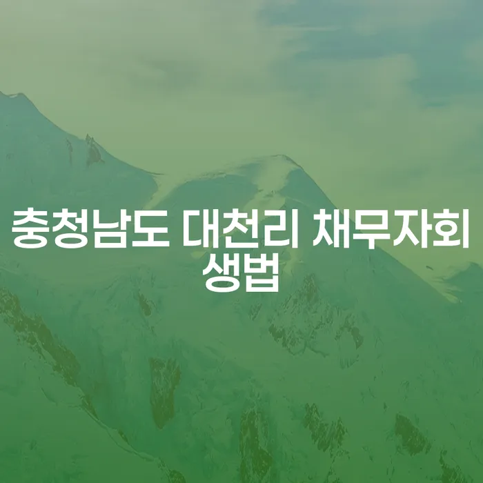 충청남도 대천리에서 채무자회생법을 활용하여 재정적 자유를 찾는 방법은?