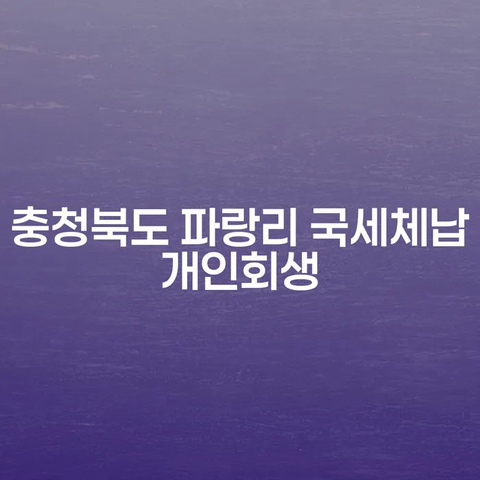 충청북도 파랑리에서 국세체납으로 개인회생을 신청해야 하는 이유는 무엇일까요?